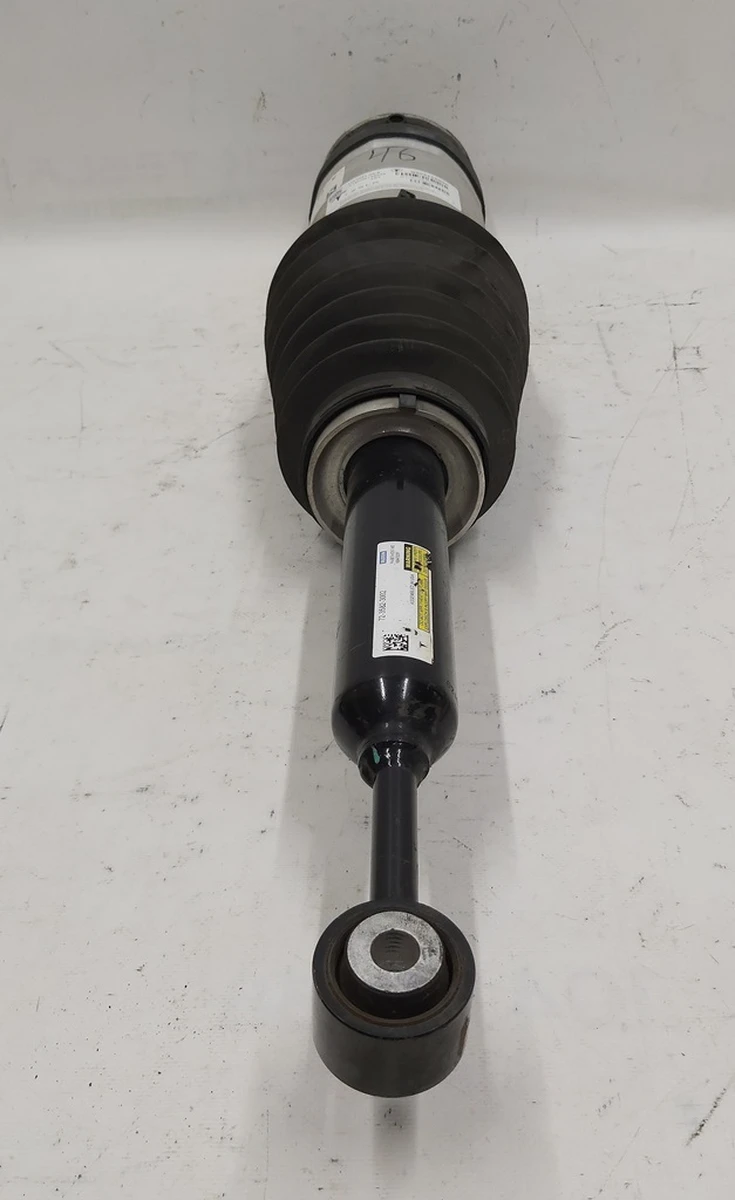 1 AIR SPRING MODULE REAR with damage Tesla model X 1027461-00-E