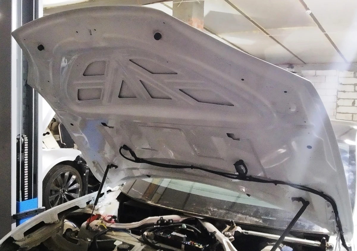 1 Капот (одна петля) AWD PPSW Tesla model S, model S REST 1038384-S0-C