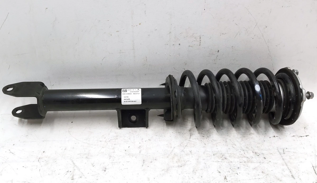 1 DAMPER ASSY FRONT-LEFT COIL RWD E1/RR Tesla model 3 1044364-00-E