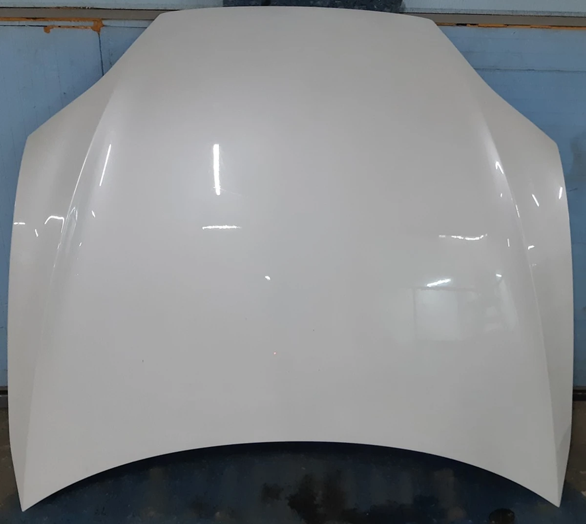 1 Капот (дві петлі) RWD PPSW Tesla model S 1051875-E0-G