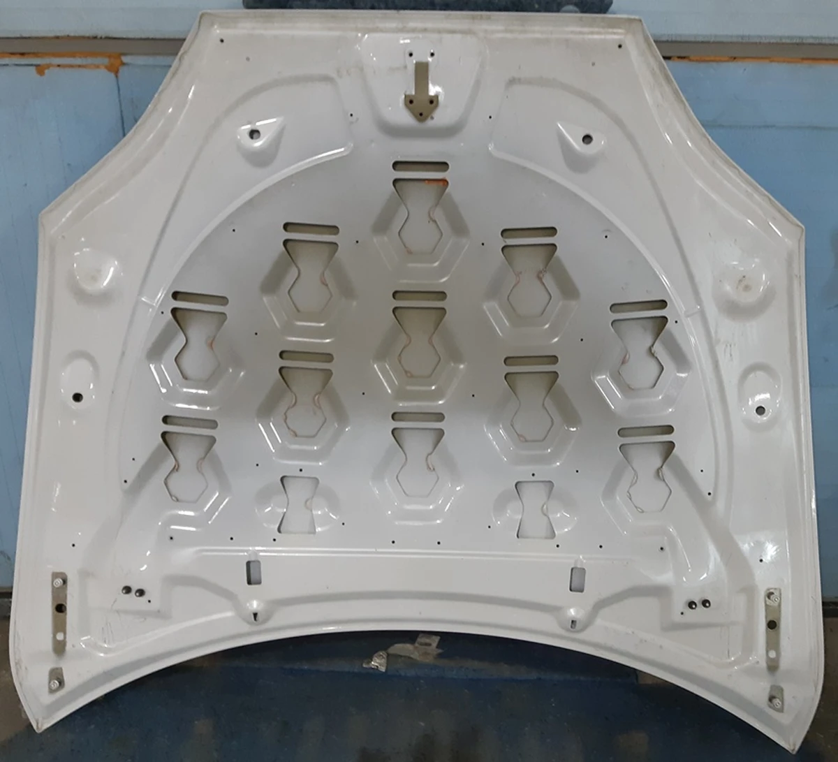 1 Капот (дві петлі) RWD PPSW Tesla model S 1051875-E0-G