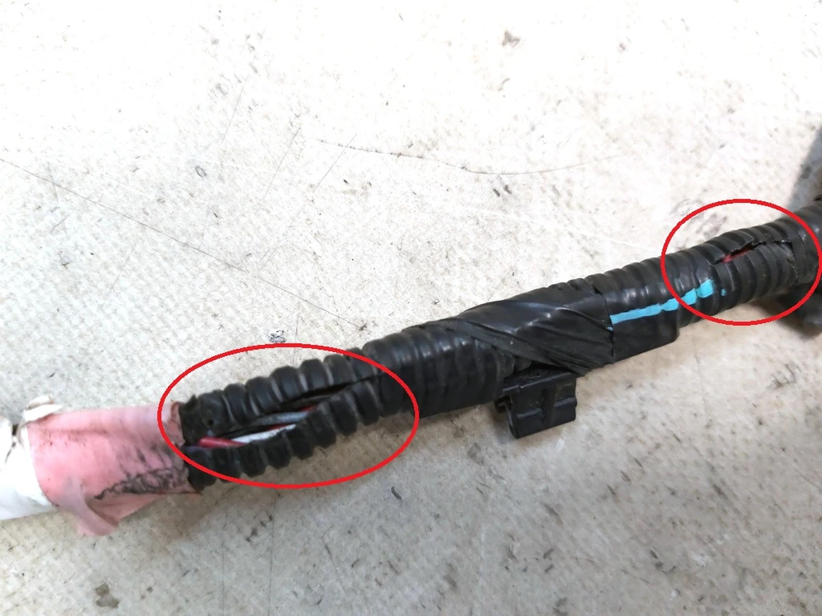 Електропроводка бампера заднього (6 парктроників) з пошкодженням Tesla model 3 1067959-00-E