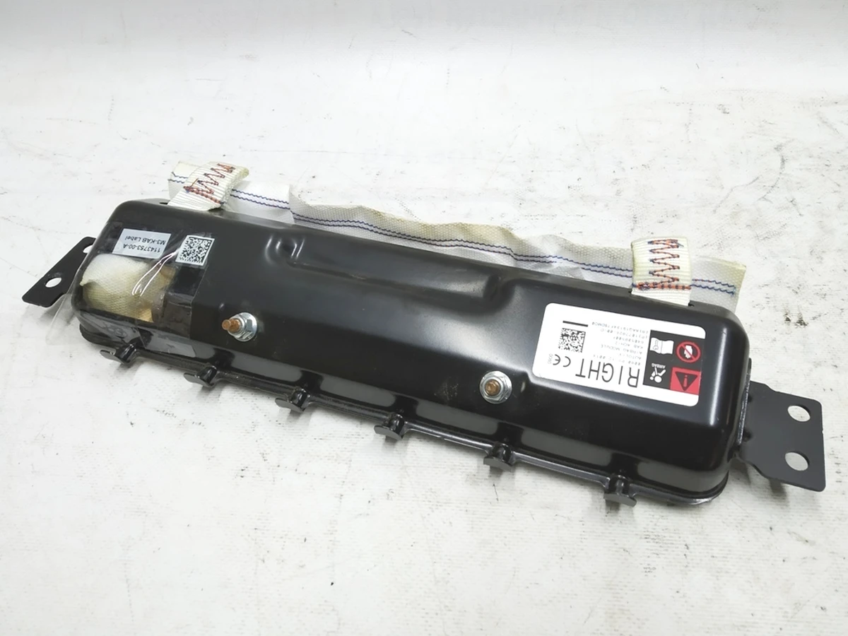 Tesla model 3 model Y passenger knee airbag 1077826-00-D