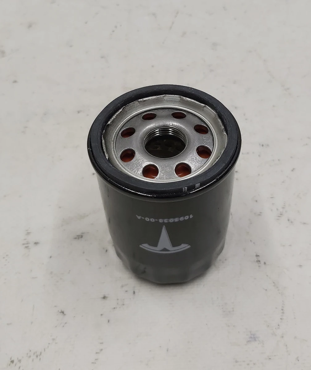 5 Фильтр масляный SYNTHETIC 3DU Tesla model S Feb 2021, model 3, model 3 Jan 2024, model Y 1095038-00-A 1618882-00-A