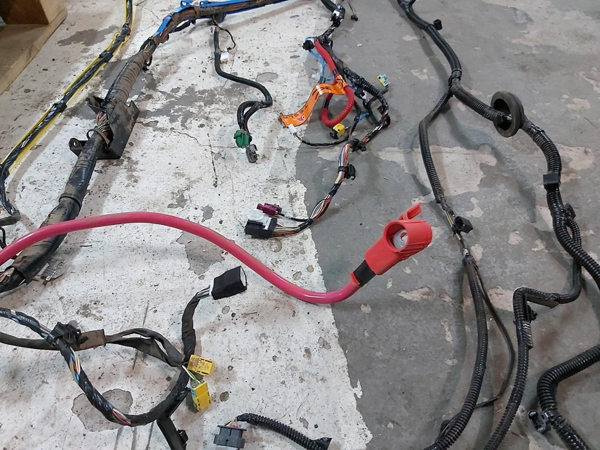 2 Електропроводка салону права Base Tesla model 3 3067955-01-C