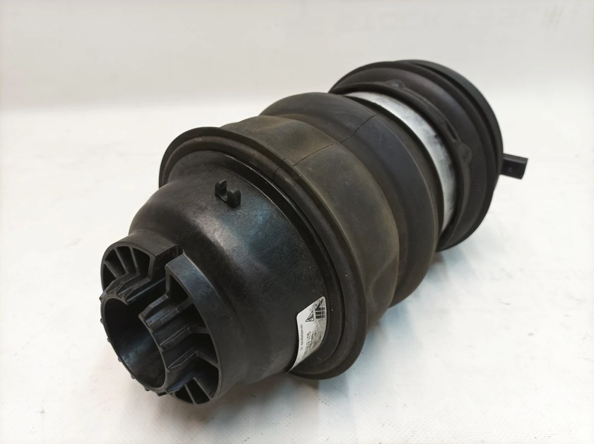 Pneumatic shock-absorbing cylinder rear left Porsche Taycan 9J1616025A