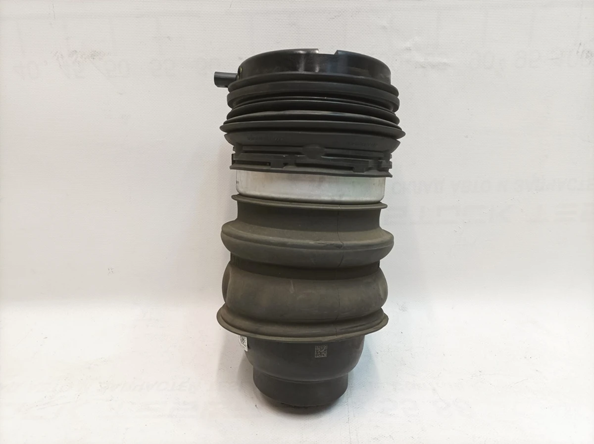Pneumatic shock-absorbing cylinder rear left Porsche Taycan 9J1616025A