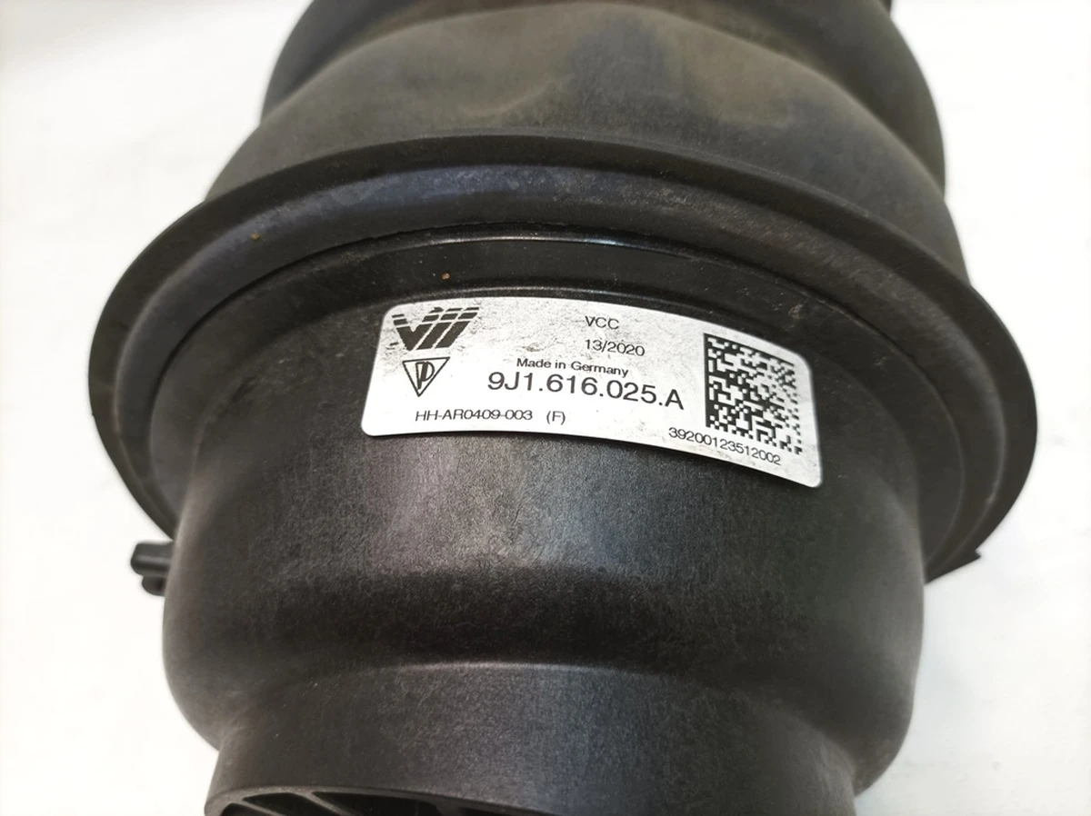 Pneumatic shock-absorbing cylinder rear left Porsche Taycan 9J1616025A
