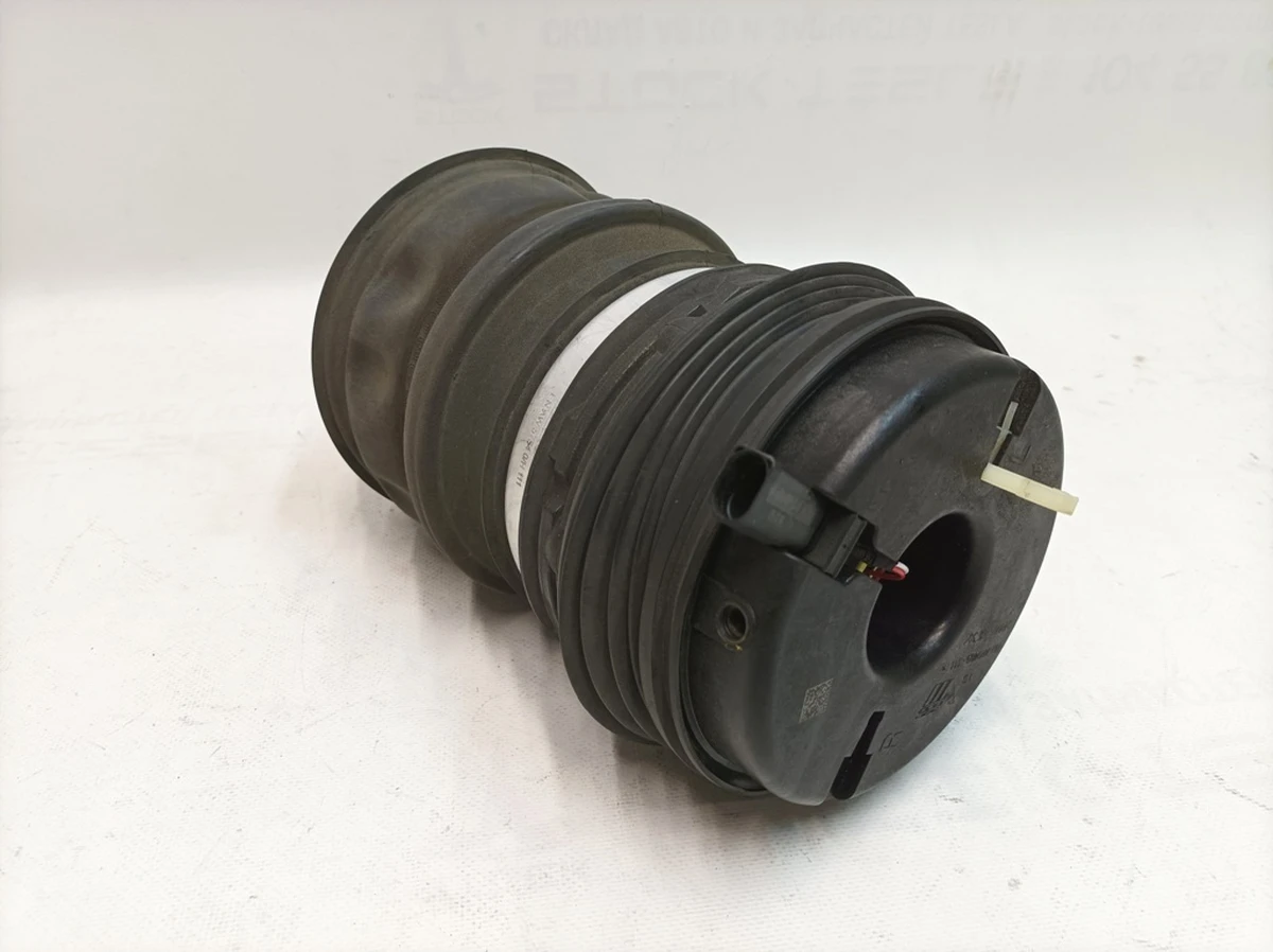 Pneumatic shock-absorbing cylinder rear left Porsche Taycan 9J1616025A