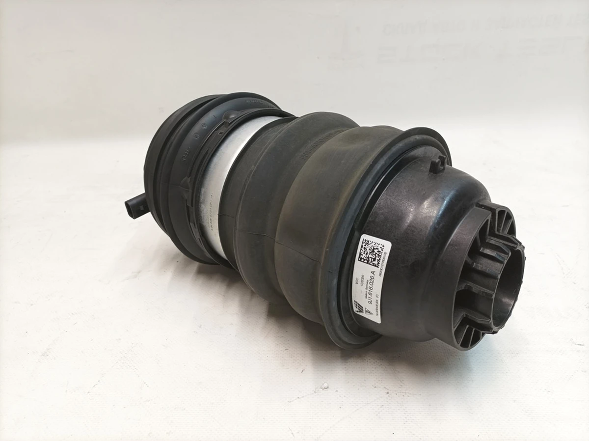 Pneumatic shock-absorbing cylinder rear right Porsche Taycan 9J1616026A