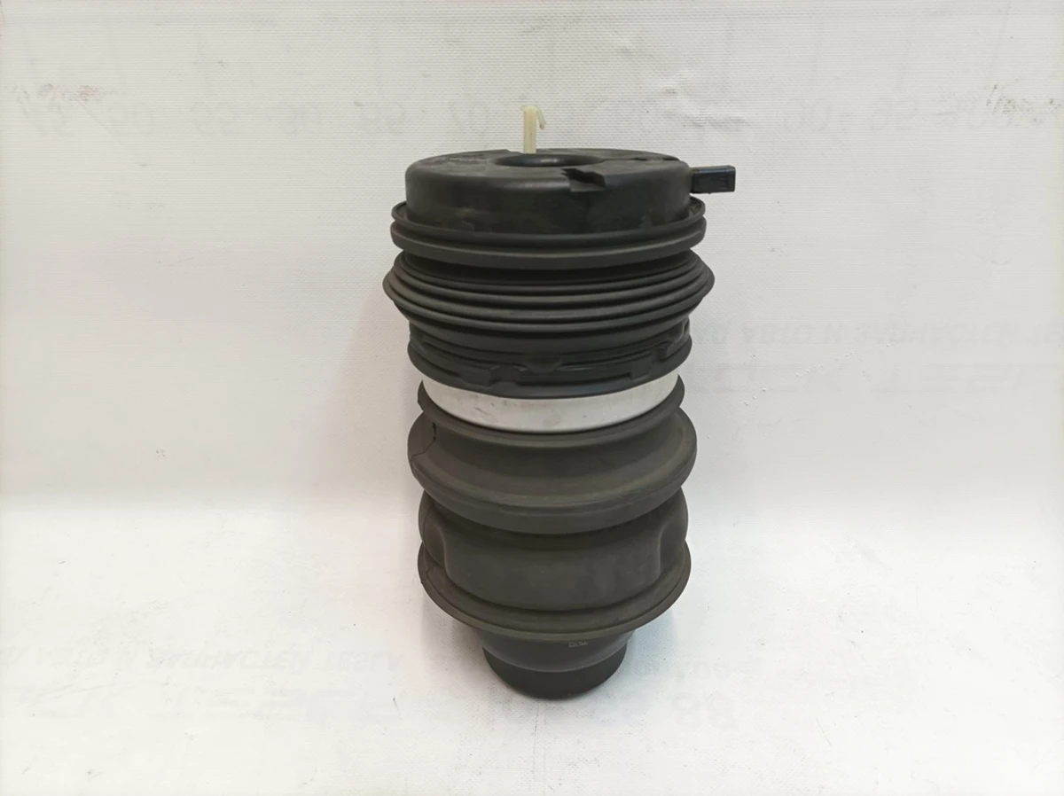 Pneumatic shock-absorbing cylinder rear right Porsche Taycan 9J1616026A