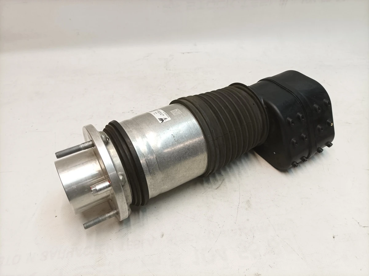 Front left air strut cylinder (damaged) 4 Corner Porsche Taycan 9J1616037C